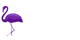mor flamıngo logo (1)